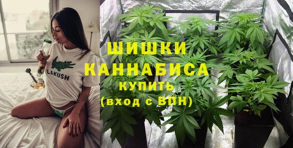 шишки Абдулино